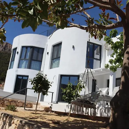 Modern Luxury Paradise *